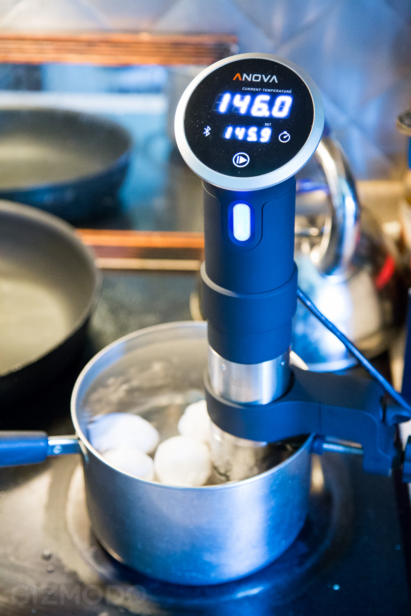 Illustration for article titled Anova Precision Cooker
Review: Killer Sous Vide for Everyone